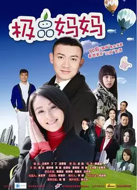 电视剧《极品妈妈》剧情介绍