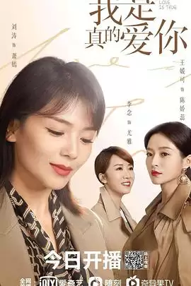 电视剧《我是真的爱你》剧情介绍