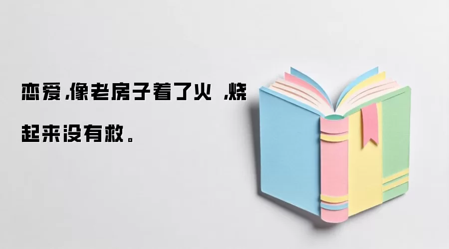 恋爱，像老房子着了火，烧起来没有救。
