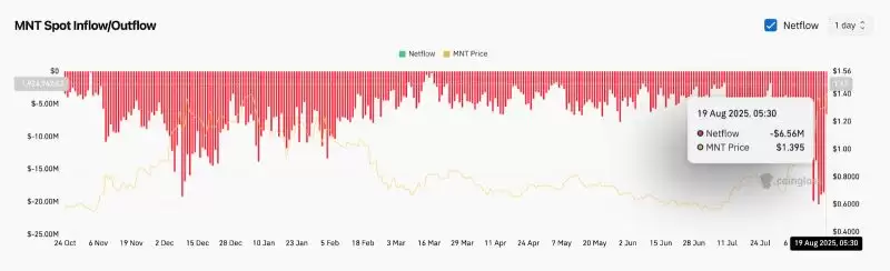 Mantle暴涨7%创历史新高 MNT是什么？MNT还值得投资吗