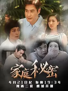 电视剧《家庭秘密》剧情介绍