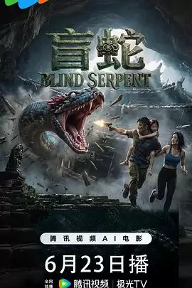 电影《盲蛇》剧情介绍