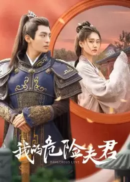 电视剧《我的危险夫君》剧情介绍