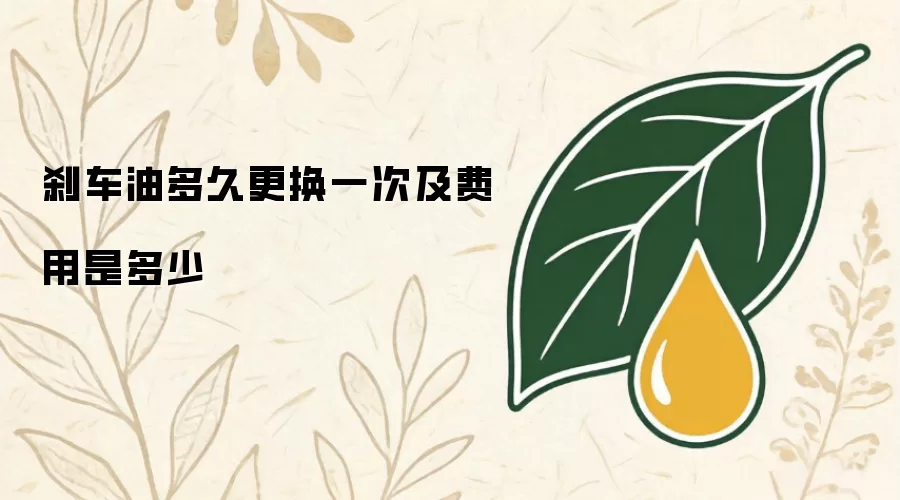 刹车油多久更换一次及费用是多少