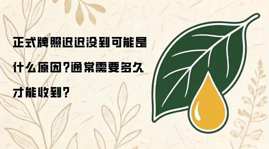 正式牌照迟迟没到可能是什么原因？通常需要多久才能收到？
