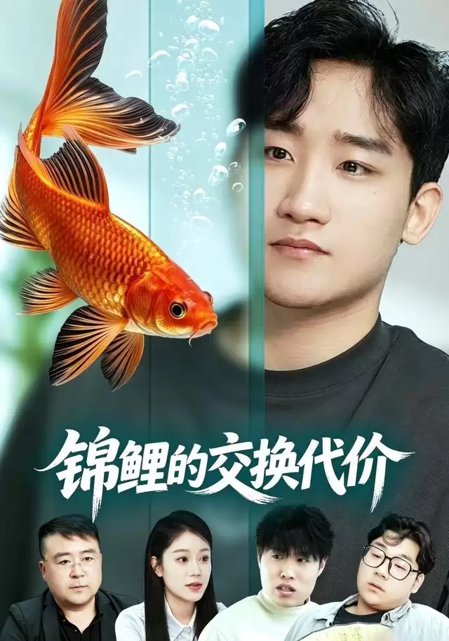 短剧《锦鲤的交换代价》剧情介绍