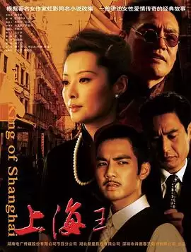 电视剧《上海王2008》剧情介绍