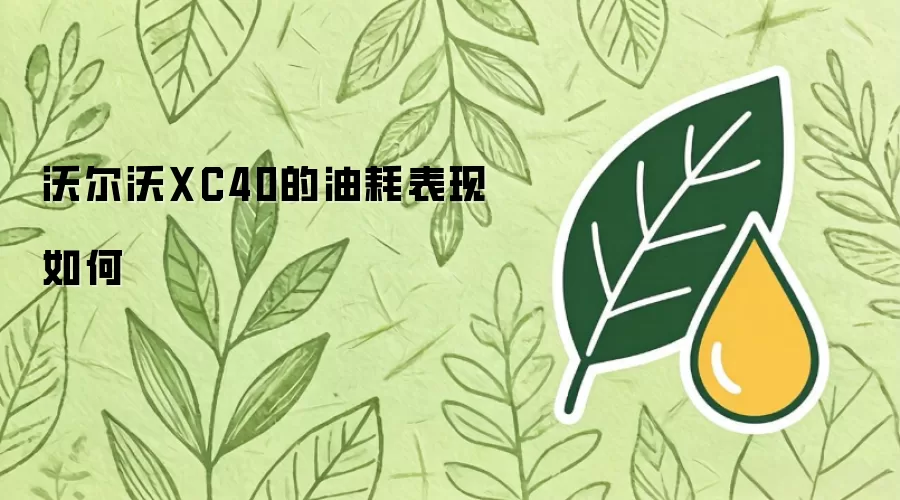 沃尔沃XC40的油耗表现如何