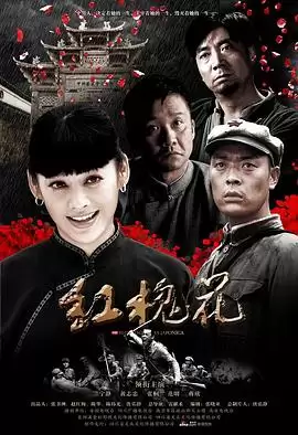 电视剧《红槐花》剧情介绍