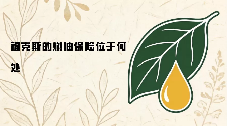 福克斯的燃油保险位于何处