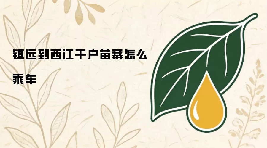 镇远到西江千户苗寨怎么乘车