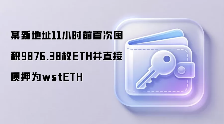 某新地址11小时前首次囤积9876.38枚ETH并直接质押为wstETH