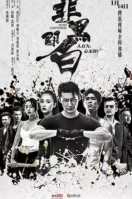 电视剧《非黑即白》剧情介绍