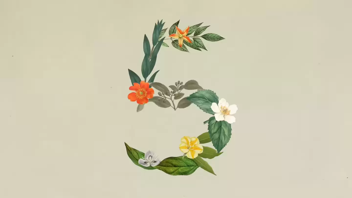 Claude Sonnet 5 登场，部分性能逼近 Opus 4.8