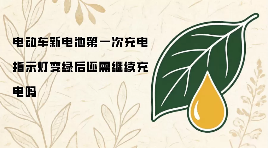 电动车新电池第一次充电指示灯变绿后还需继续充电吗
