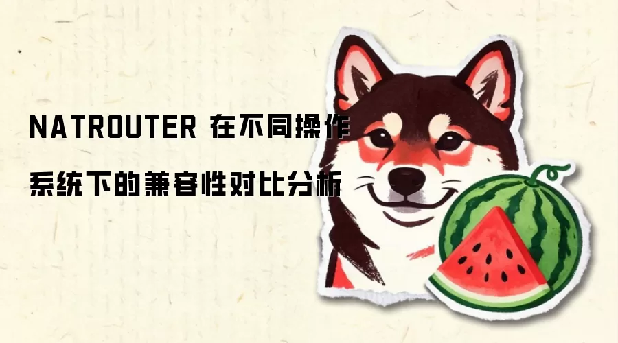 NATROUTER 在不同操作系统下的兼容性对比分析