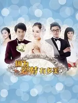 电视剧《因为爱情有多美DVD》剧情介绍