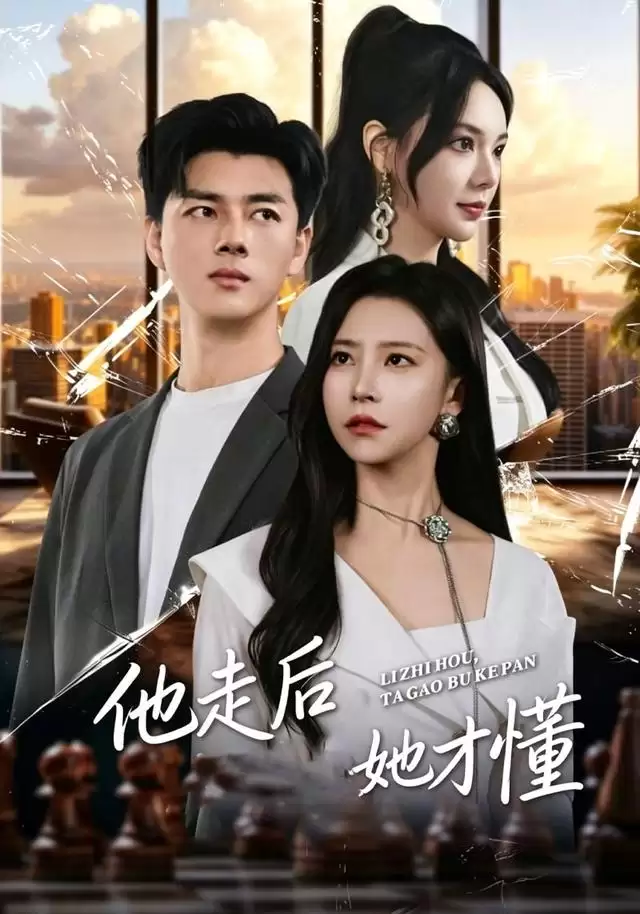 短剧《他走后她才懂》剧情介绍