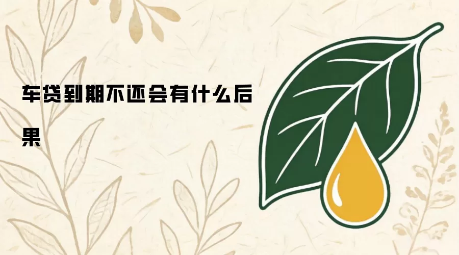 车贷到期不还会有什么后果
