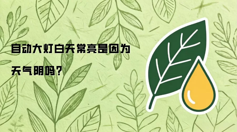 自动大灯白天常亮是因为天气阴吗？