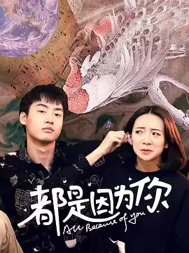 电视剧《都是因为你》剧情介绍