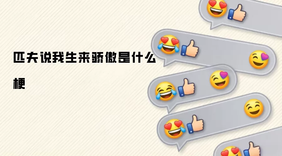 匹夫说我生来骄傲是什么梗