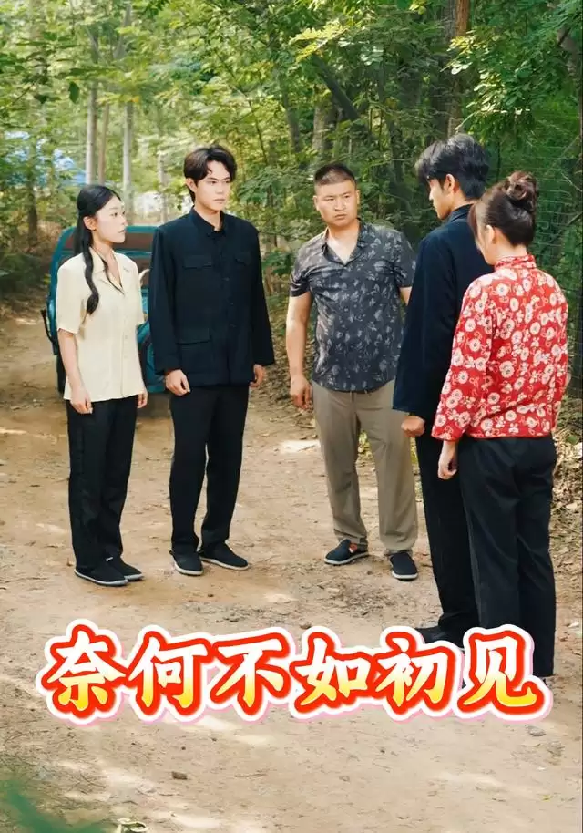 短剧《奈何不如初见》剧情介绍