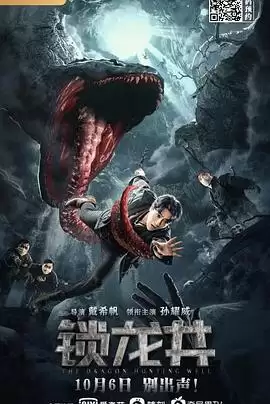 电影《锁龙井》剧情介绍