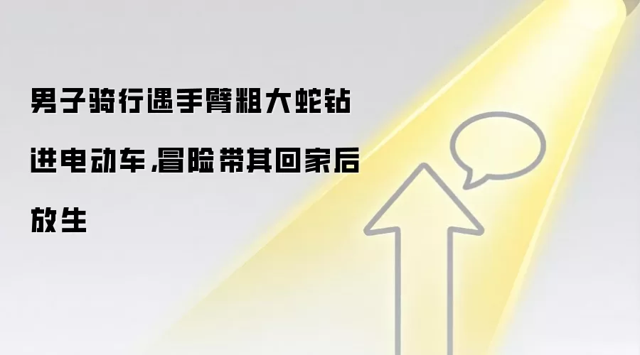 男子骑行遇手臂粗大蛇钻进电动车，冒险带其回家后放生