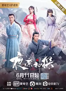 电视剧《夜凛神探第一季》剧情介绍