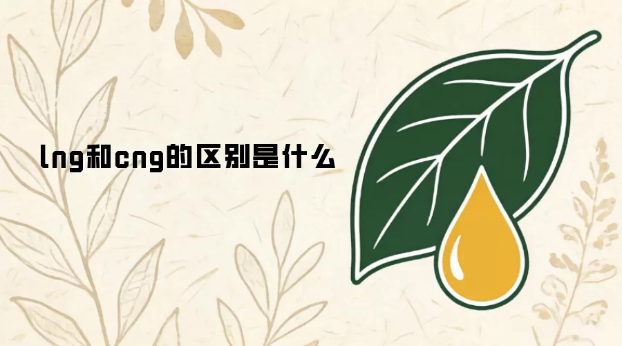 lng和cng的区别是什么
