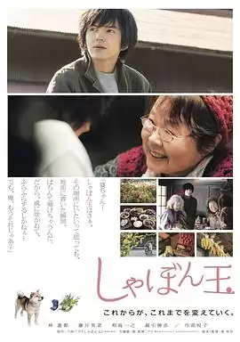 电影《肥皂泡》剧情介绍