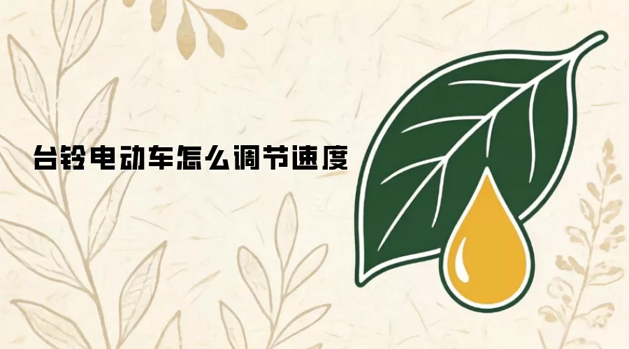 台铃电动车怎么调节速度