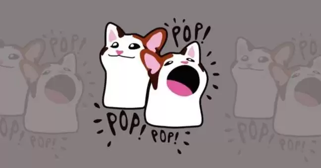 什么是POPCAT？怎么买？POPCAT工作原理、代币经济学及未来前景