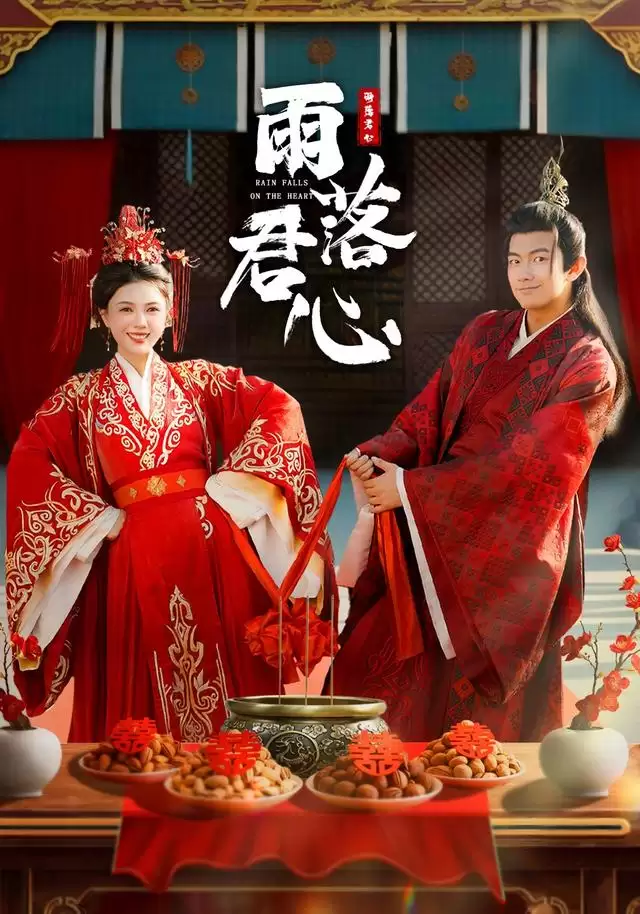 短剧《雨落君心》剧情介绍