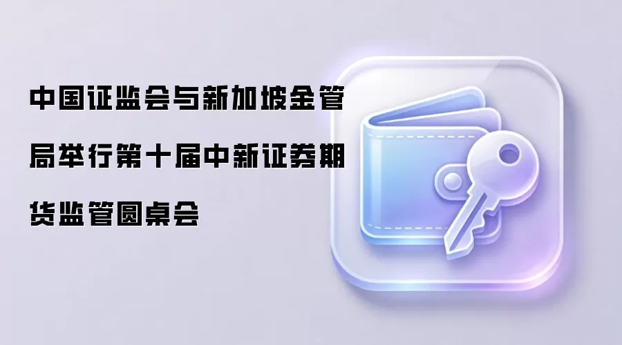 中国证监会与新加坡金管局举行第十届中新证券期货监管圆桌会