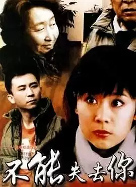 电视剧《不能失去你》剧情介绍