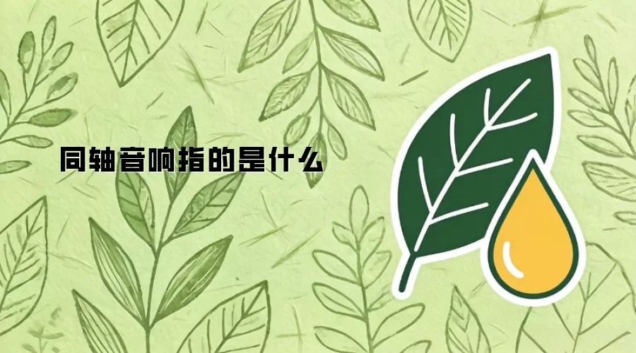 同轴音响指的是什么