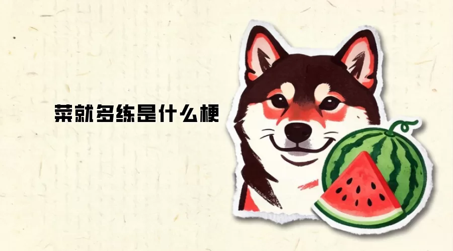 菜就多练是什么梗