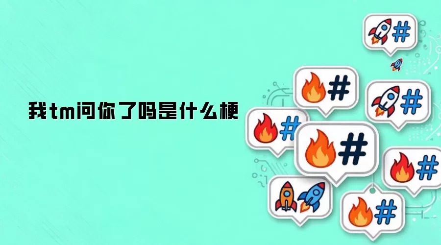 我tm问你了吗是什么梗