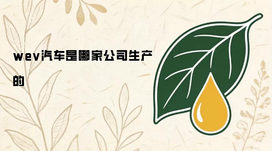 wev汽车是哪家公司生产的