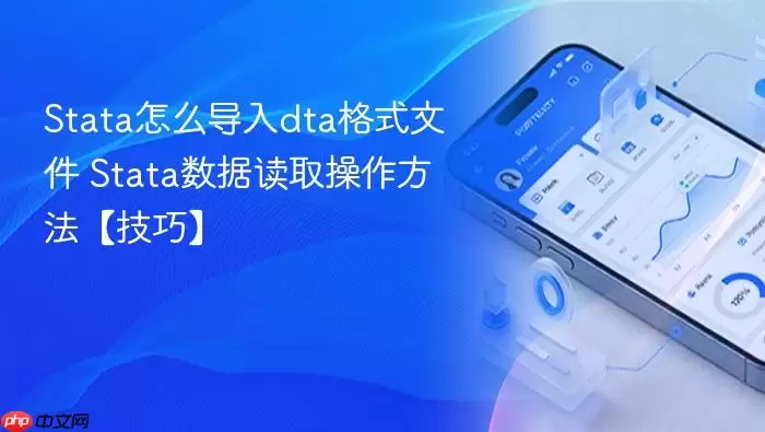Stata导入示意图