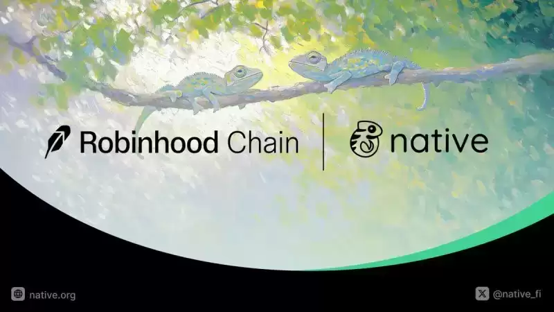 Robinhood Chain生态项目盘点