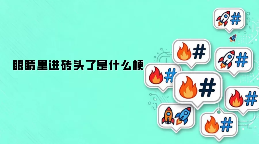 眼睛里进砖头了