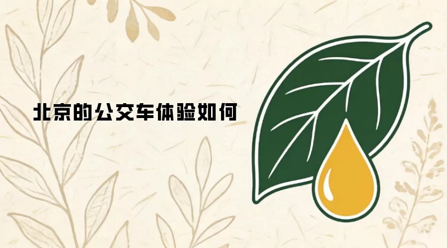 北京的公交车体验如何