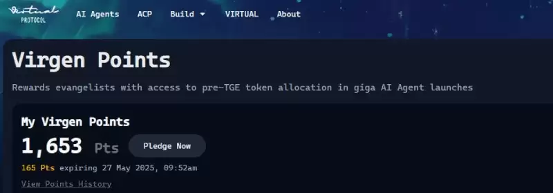 Virtuals积分全攻略:一文摸清如何获取和高效打新