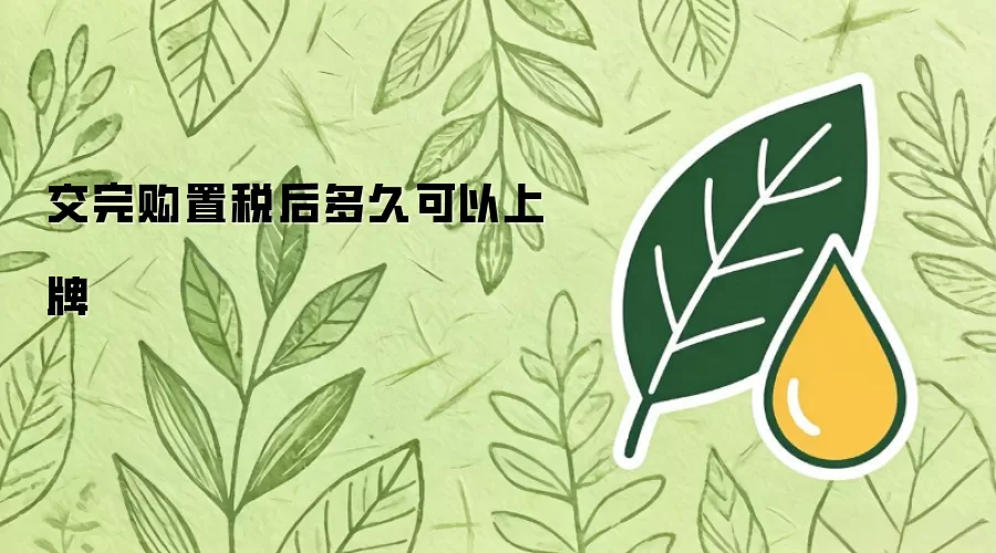 交完购置税后多久可以上牌
