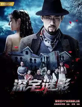 电影《深宅谜影》剧情介绍