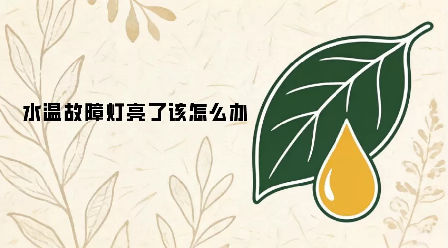 水温故障灯亮了该怎么办