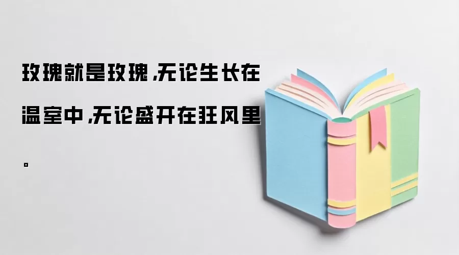 玫瑰就是玫瑰,无论生长在温室中,无论盛开在狂风里。